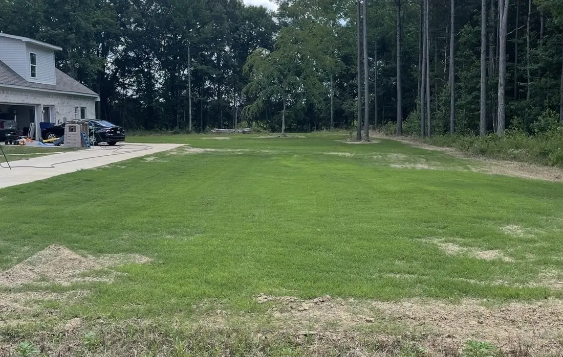 A lush green lawn on July 9, three weeks after hydroseeding