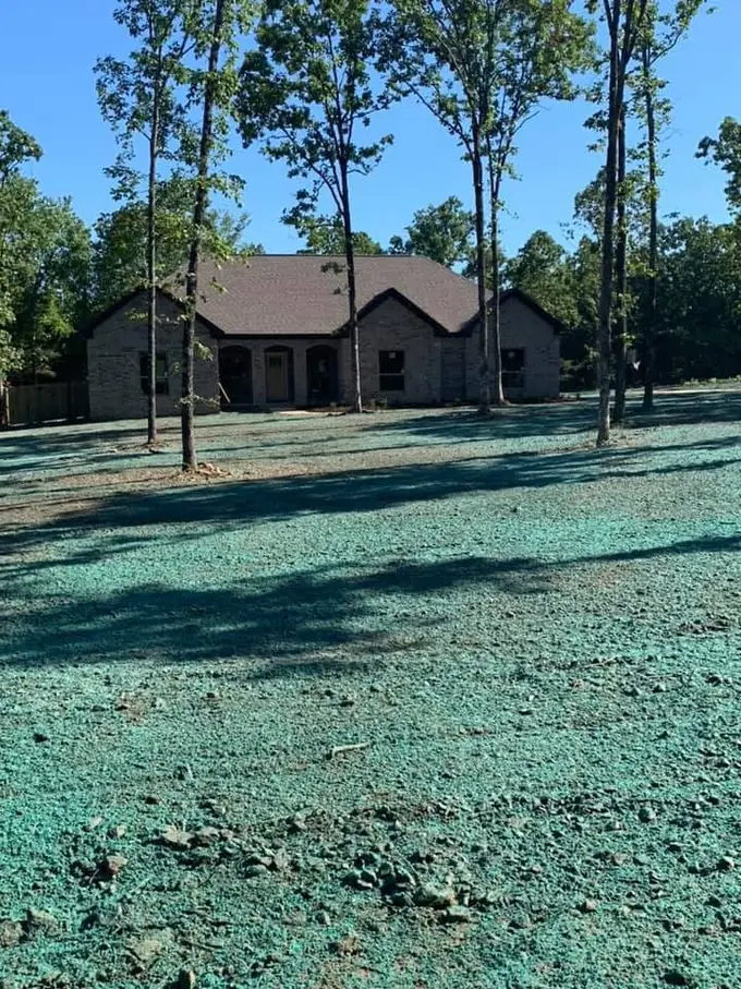 Fresh green hydroseed slurry sprayed across a yard
